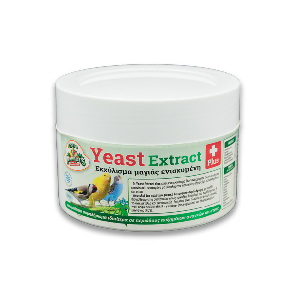 Yeast Extract 200gr