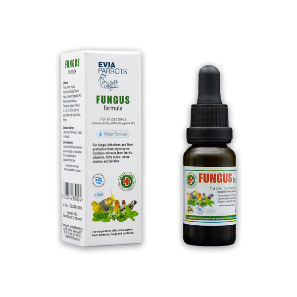 Fungus Formula  20ml