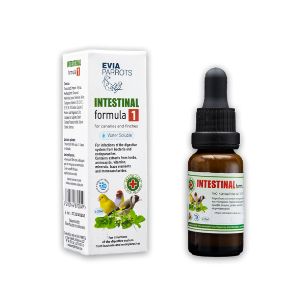 Intestinal Formula 1 20ml