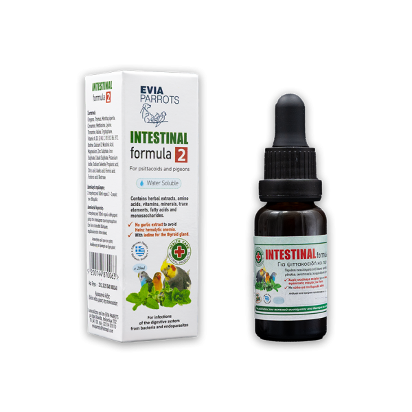 Intestinal Formula 2 20ml