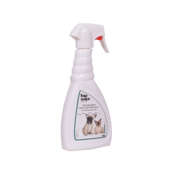 Topsafe Training Spray 500 ml