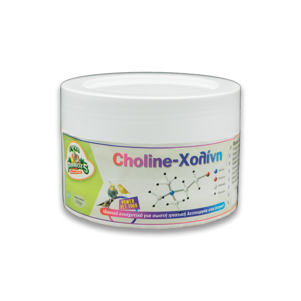 Χολίνη - Choline 100gr Χολίνη - Choline 100gr
