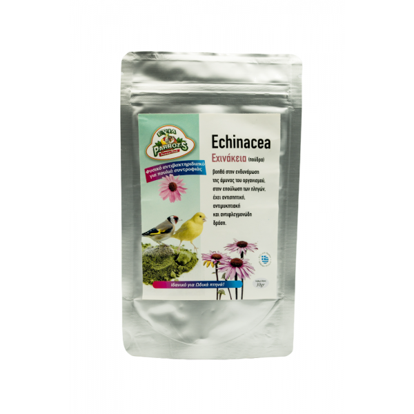  Echinacea 30gr