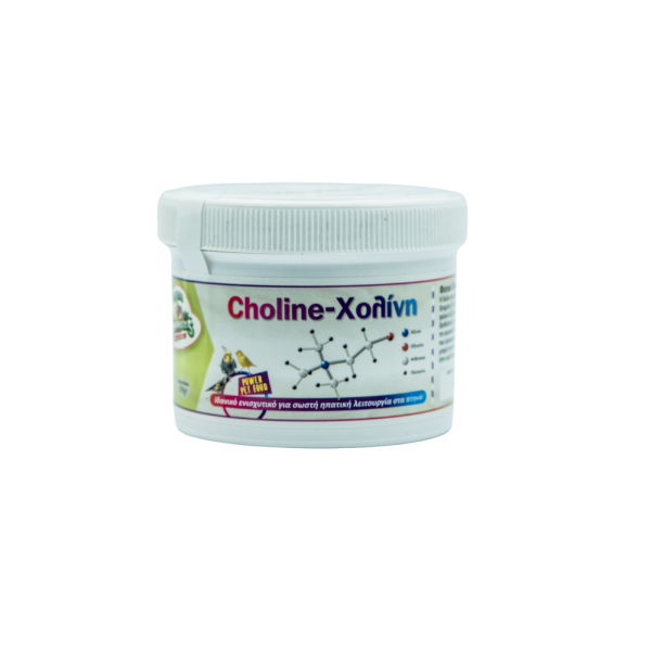 Χολίνη - Choline 100gr